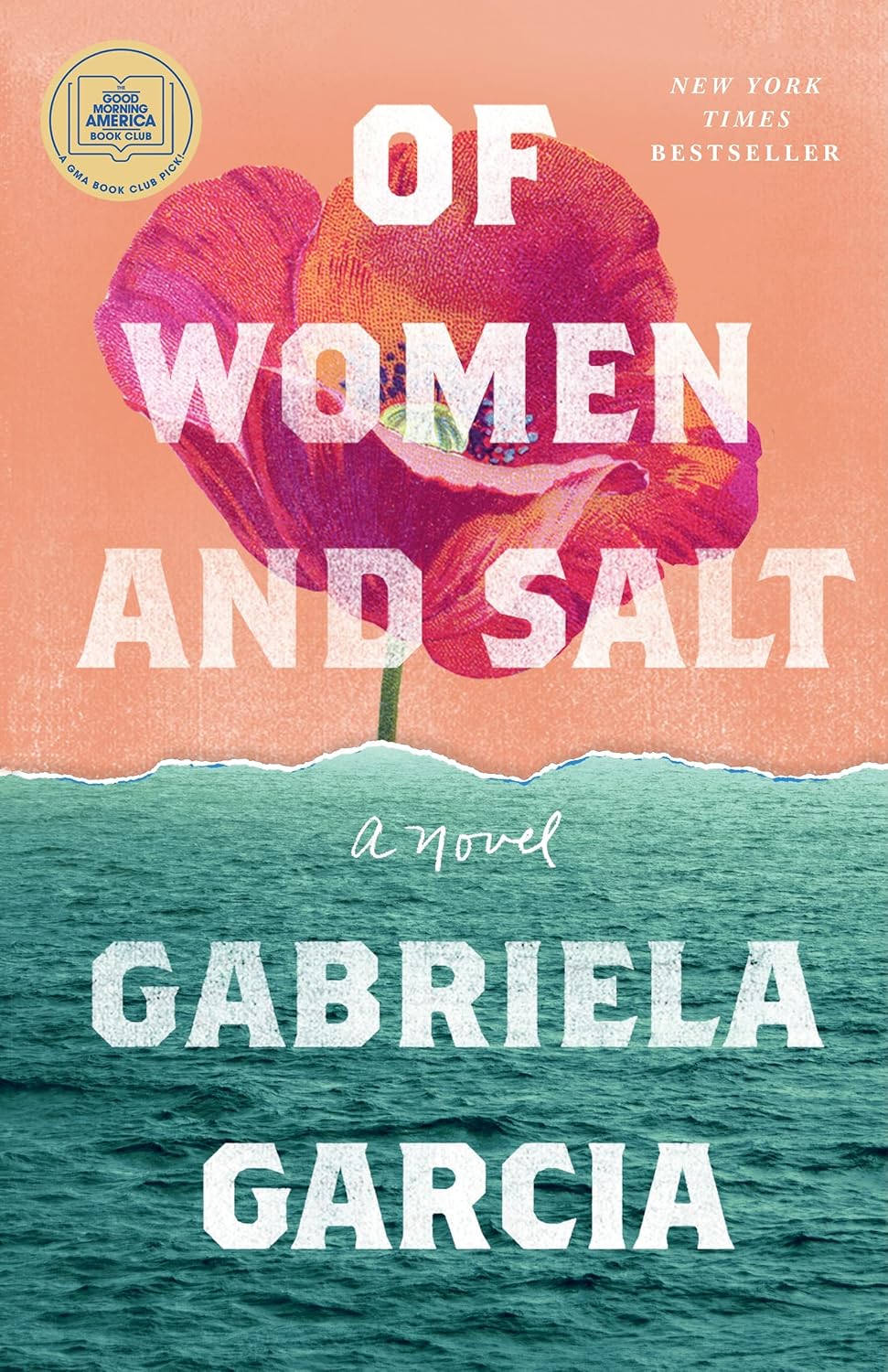 Gabriela Garcia’s ‘Of Women and Salt’: A Book&nbsp;Review