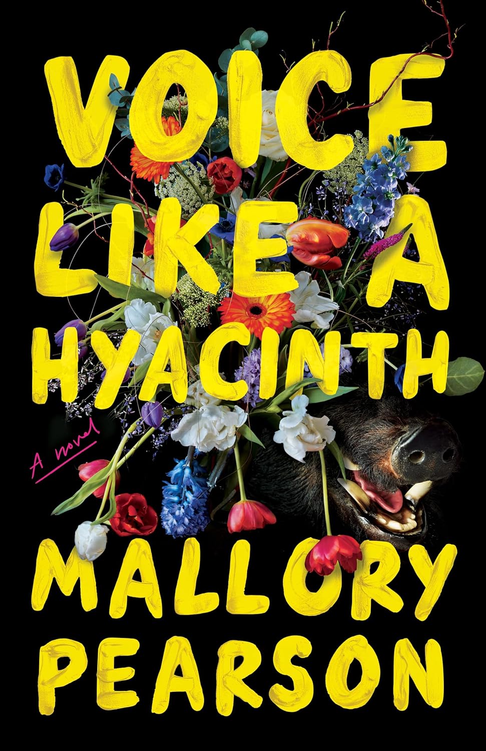 Mallory Pearson’s Voice Like a Hyacinth: A&nbsp;Review