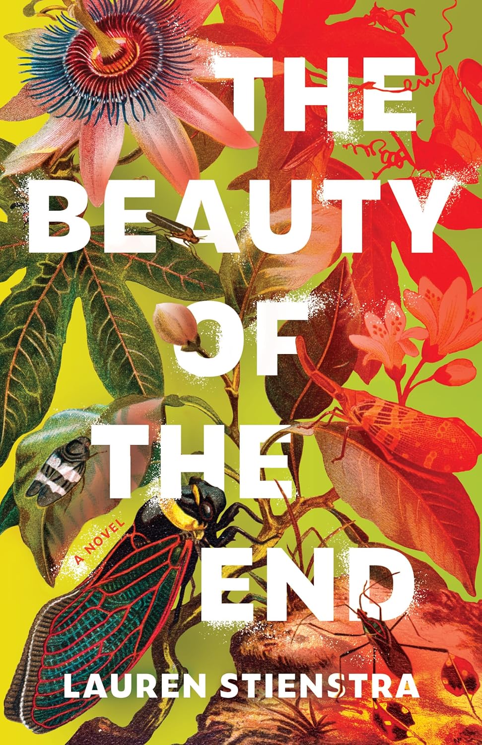 The Beauty of the End: a Novel by Lauren Stienstra