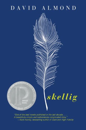 A Thoughtful Review of David Almond’s ‘Skellig’