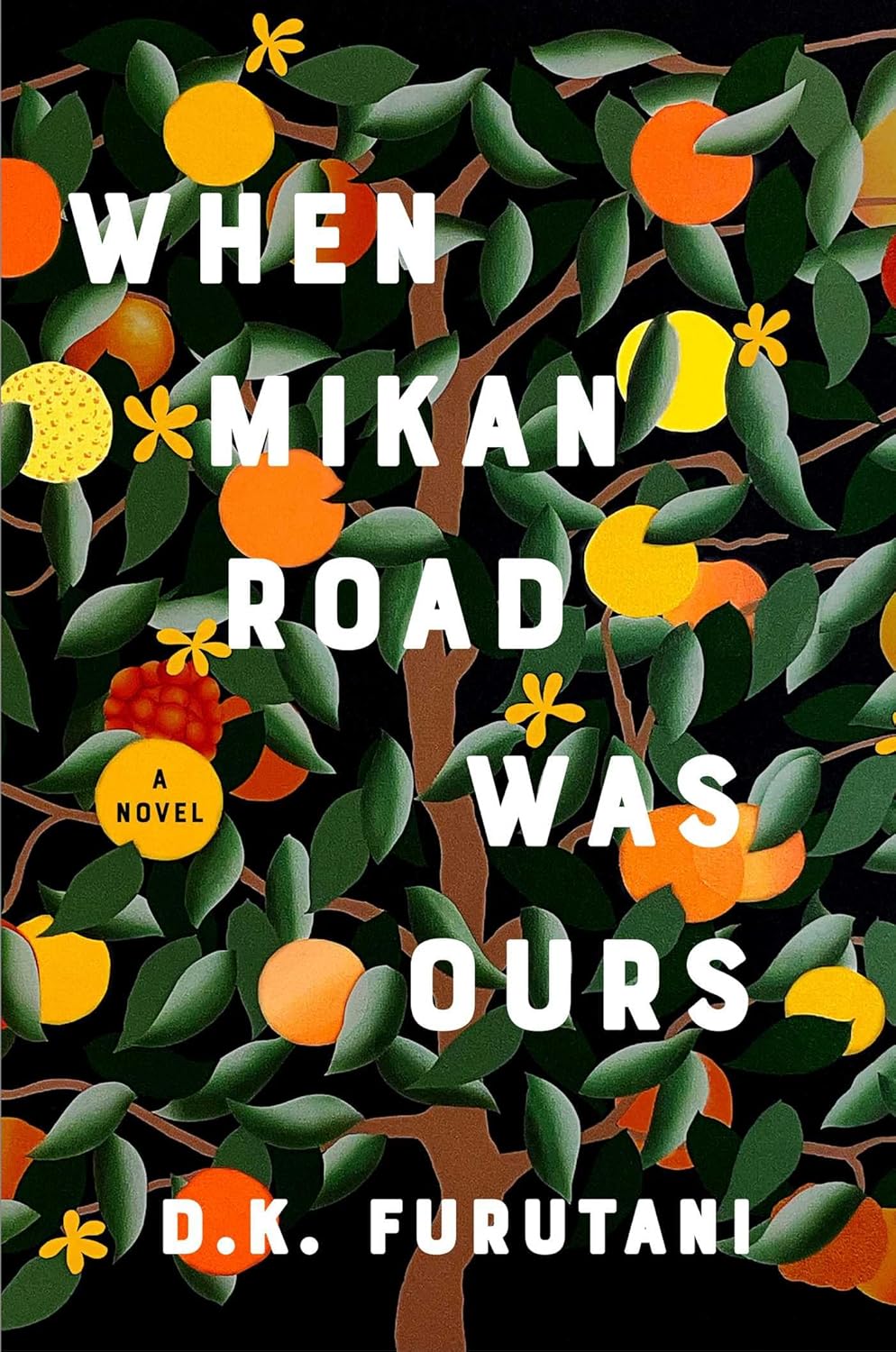 Recommendation and Book Review: When Mikan Road was Ours: a Novel by D.K. Furutani