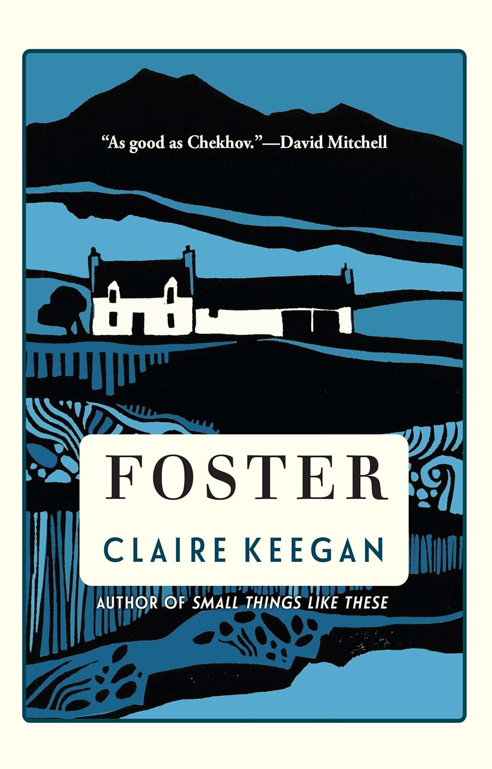 A Must-Read Contemporary Classic: ‘Foster’ by Claire Keegan&nbsp;Review